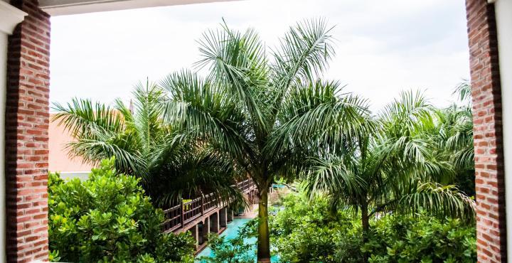 Mango Hill Puducherry Buitenkant foto
